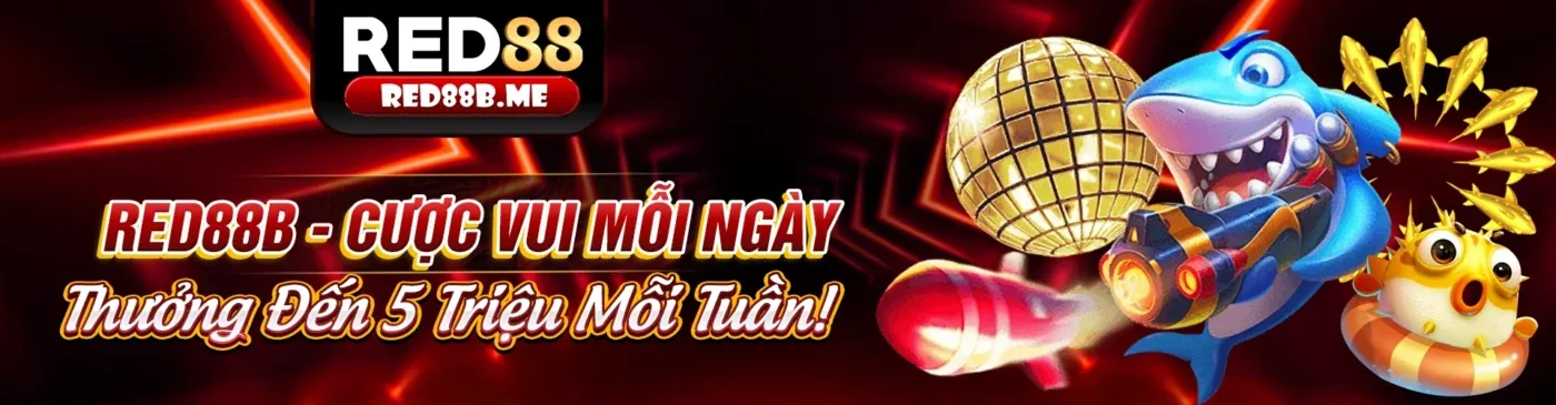 Sân đấu đá gà trực tuyến tại rubik88 chính thức
